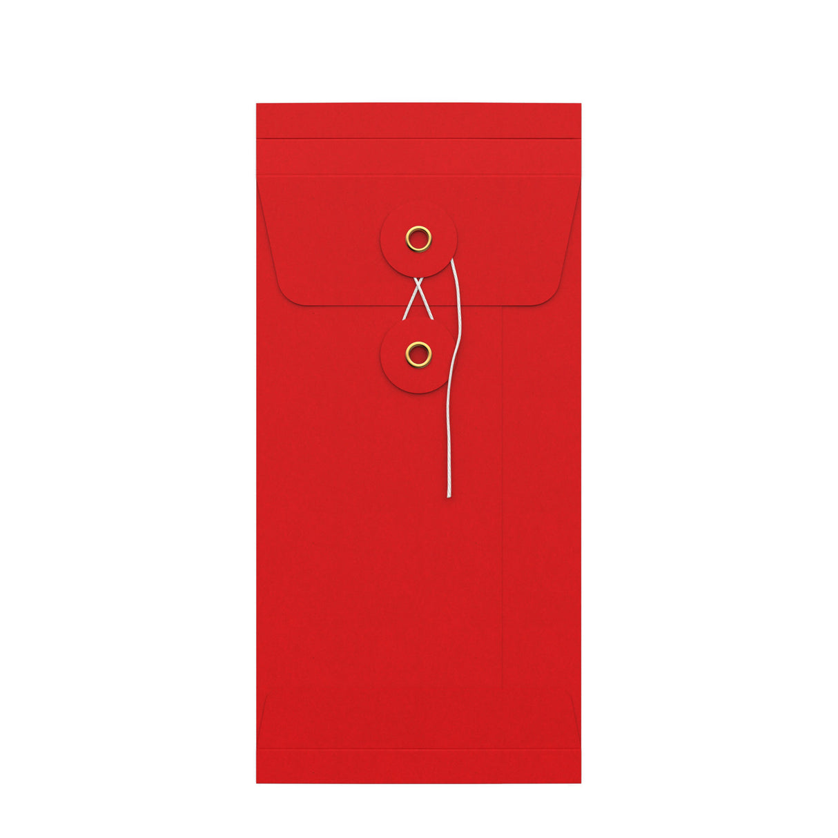 String & washer gusset envelopes