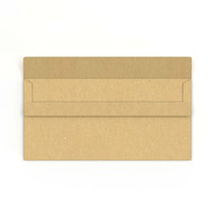 DL Manila Brown Envelope (110 x 220mm)