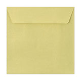 Textured Envelopes