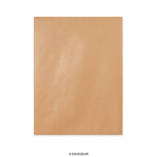 Manilas aploksne ar stingru kartona aizmuguri 430x320 mm